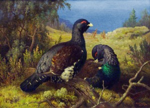 Two Beautiful Birds_OSG